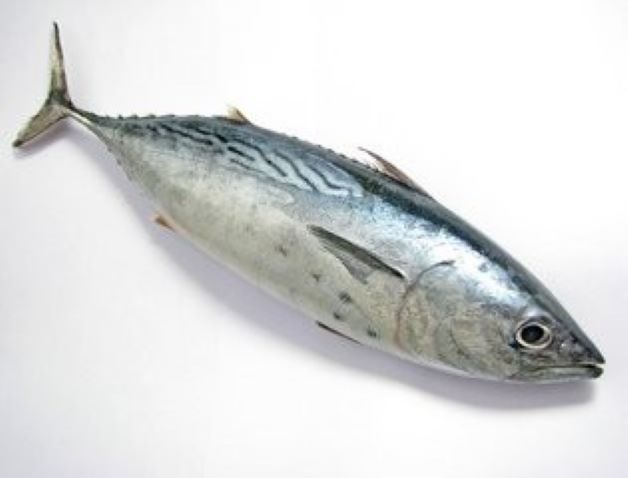 Eat Oily Fish for Health