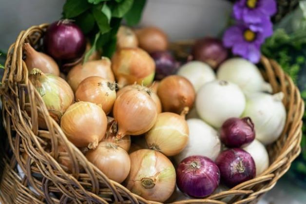 Onion: Health Benefit