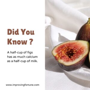 Fun Facts About Figs and it’s Health Benefits