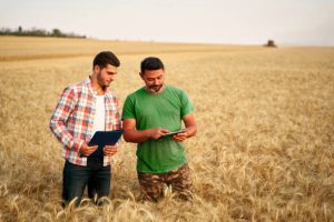 Farm Supervisor Role for Foreigners